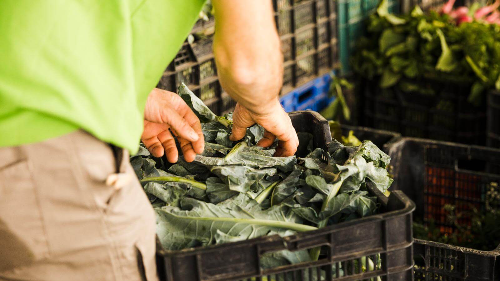 Agricultural waste disposal